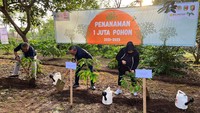 Mendag Zulkifli melakukan penanaman pohon di Nestle EduFarm. 
