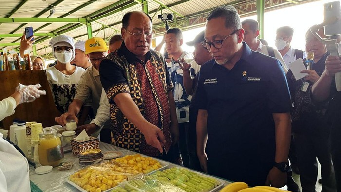 Mendag di Pabrik Nanas & EduFarm Nestle Menteri Perdagangan Zulkifli Hasan meninjau sejumlah tempat yaitu pabrik bahan pokok sampai pabrik pengepakan nanas di Lampung, Jumat (3/3/2023).