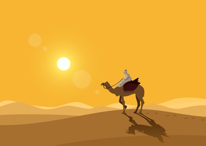 Three camels in the desert during sunset