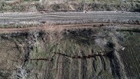 Korban tewas akibat gempa bumi Turki dan Suriah juga telah mencapai 50.000 jiwa.
