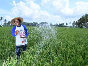 Capaian Program PKT Dukung Ketahanan Pangan & Produktivitas Petani RI