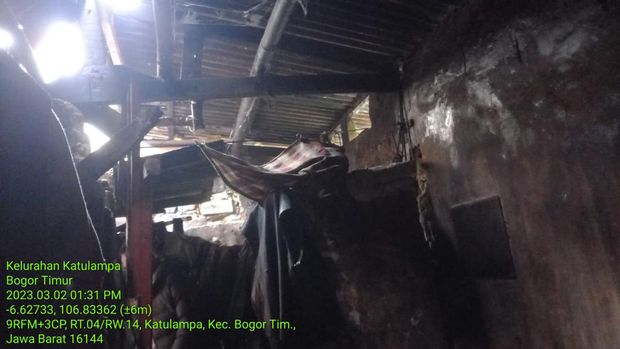 Sebanyak 3 unit rumah di Kota Bogor, Jabar yang belum mendapat perbaikan ambruk usai terjadi hujan deras. Tak ada korban dalam peristiwa ini. (dok BPBD Kota Bogor)