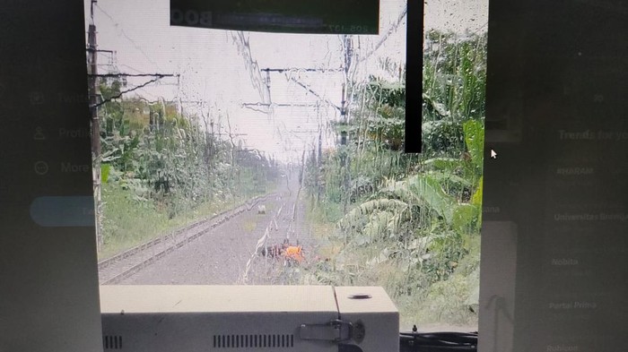 Sosok 2 remaja mencegah KRL alami kecelakaan ramai dibahas warganet. Kedua remaja itu mengingatkan masinis karena ada pohon pisang tumbang yang menutupi rel. (dok Istimewa)