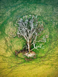 World Nature Photography Awards  2022
