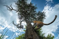 World Nature Photography Awards  2022