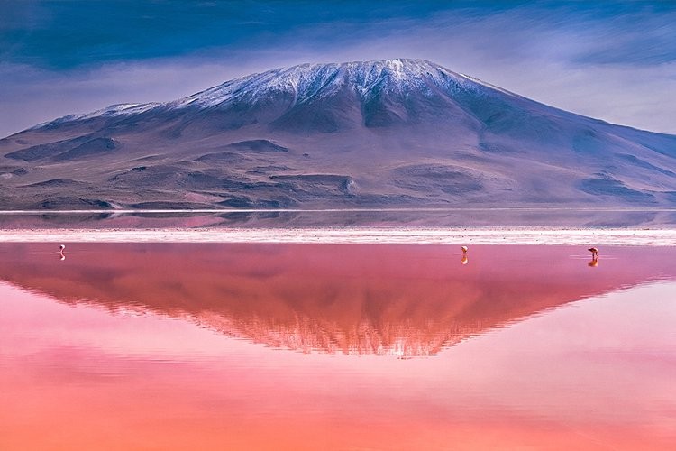 World Nature Photography Awards 2022 World Nature Photography Awards 2022
