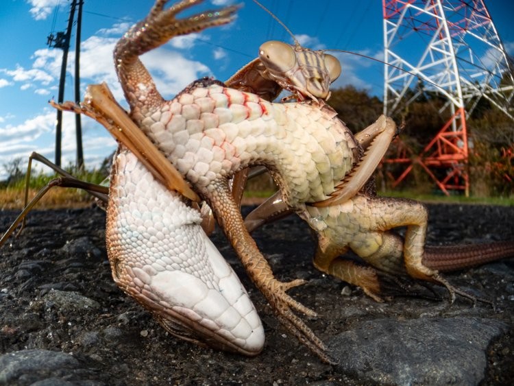 World Nature Photography Awards 2022 World Nature Photography Awards 2022