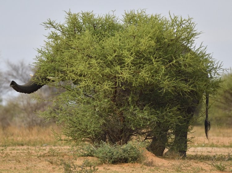 World Nature Photography Awards 2022 World Nature Photography Awards 2022