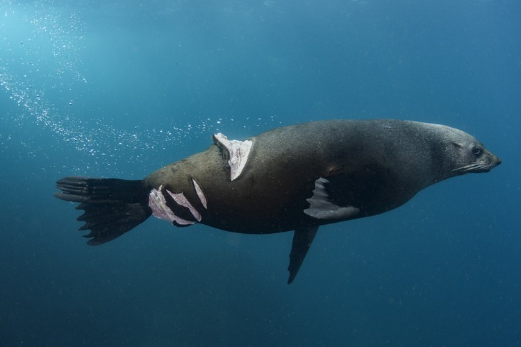 World Nature Photography Awards  2022
