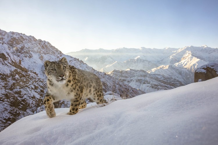 World Nature Photography Awards  2022