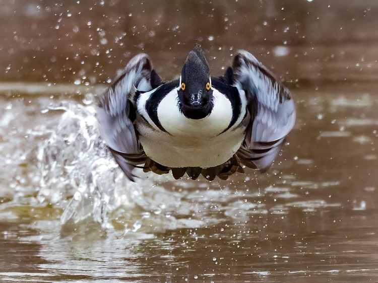 World Nature Photography Awards 2022 World Nature Photography Awards 2022
