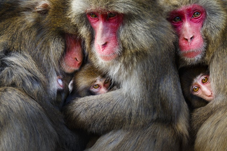 World Nature Photography Awards 2022 World Nature Photography Awards 2022