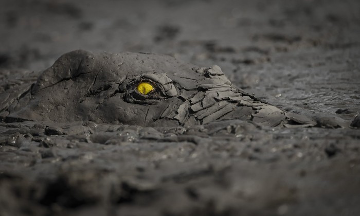 World Nature Photography Awards  2022