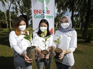 Jurus BNI Dukung Pemerintah Capai Zero Carbon di 2060