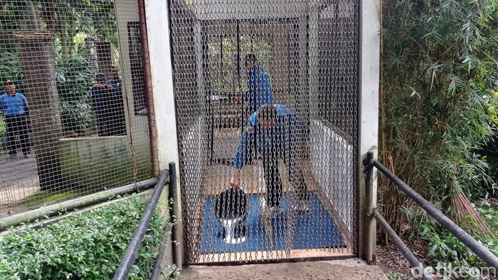 Bunbin Bandung terapkan biosekuriti cegah flu burung.