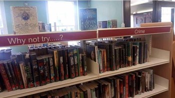 Jalan-jalan ke perpustakaan malah dihasut berbuat jahat. Foto: Reddit via Bored Panda
