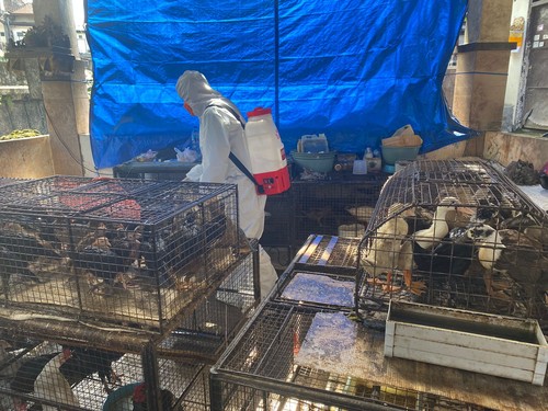 Dinas Pertanian (Distan) Kota Denpasar menyemprotkan biosecurity di Pasar Burung Satria dan Pasar Kumbasari.