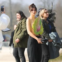 Daun yang dipakai Emily Ratajkowski tentu saja imitasi. Busana tersebut merupakan salah satu koleksi terbaru dari Loewe yang memang terinspirasi dari tanaman. Foto: Getty Images/Jacopo Raule