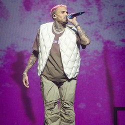 Chris Brown Divonis Bayar Rp 213 M dalam Kasus Eks ART Digigit Anjing