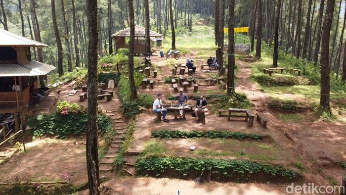 Pasir Bentang, tempat ngopi asyik di tengah hutan pinus Ciamis.