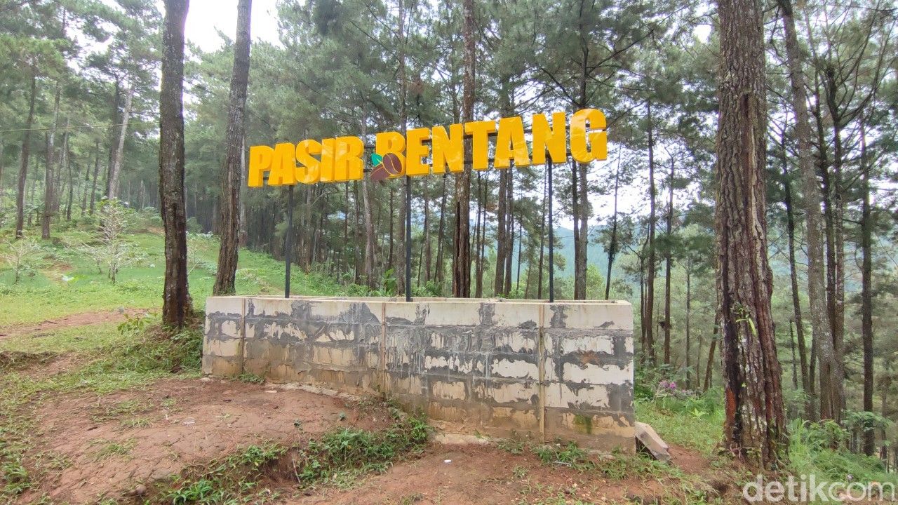 Pasir Bentang, tempat ngopi asyik di tengah hutan pinus Ciamis.