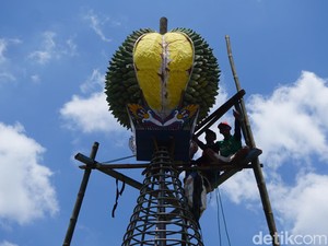 Melihat KenDuren: Event Berebut Durian Gratis di Jombang, Digelar Besok!