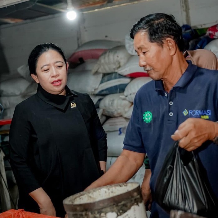 Puan Maharani