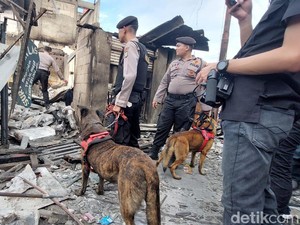 Anjing K9 Dikerahkan Bantu Cari Korban Hilang Kebakaran Depo BBM Plumpang
