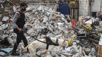 Anggota Polri dengan dibantu Unit Satwa K-9 melakukan pencarian korban di lokasi terdampak kebakaran Depo Pertamina di kawasan jalan Koramil, Rawa Badak Selatan, Koja, Jakarta Utara, Minggu (5/3/2023).