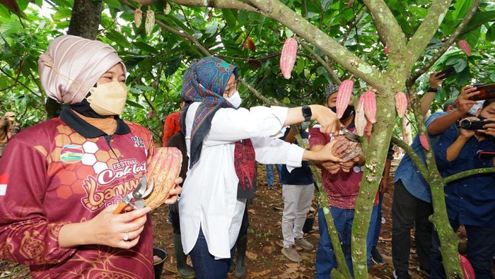 festival kuliner banyuwangi