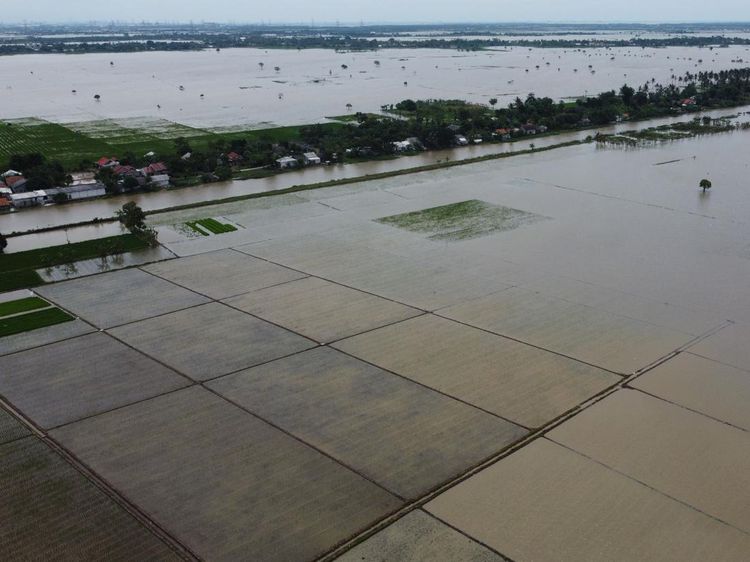 Foto Udara Banjir Rendam Sawah di Kabupaten Bekasi