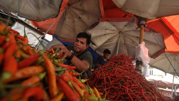 Pedagang melayani pembeli di pasar Panorama, Kota Bengkulu, Provinsi Bengkulu, Minggu (5/3/2023). Harga cabai rawit merah di provinsi tersebut mengalami kenaikan sejak dua bulan terakhir dari harga Rp35.000 per kilogram menjadi Rp60.000 per kilogram yang disebabkan oleh dampak perubahan cuaca yang ekstrem. ANTARA FOTO/Muhammad Izfaldi/Lmo/nym.