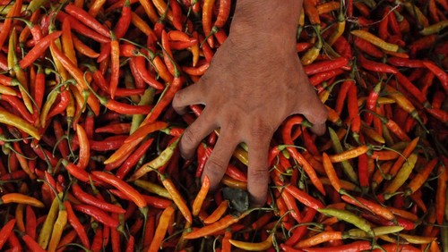 Pedagang melayani pembeli di pasar Panorama, Kota Bengkulu, Provinsi Bengkulu, Minggu (5/3/2023). Harga cabai rawit merah di provinsi tersebut mengalami kenaikan sejak dua bulan terakhir dari harga Rp35.000 per kilogram menjadi Rp60.000 per kilogram yang disebabkan oleh dampak perubahan cuaca yang ekstrem. ANTARA FOTO/Muhammad Izfaldi/Lmo/nym.