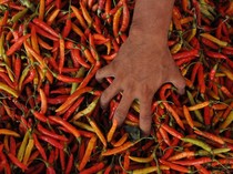 Harga Sembako Jogja Hari Ini 12 Juli 2024: Cabai Rawit Merah Ngegas Naik!