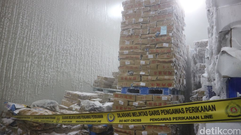 Kementerian Kelautan dan Perikanan melakukan penyegelan gudang penyimpanan ikan salem yang diimpor dari Cina di wilayah Kecamatan Juwana, Kabupaten Pati, Minggu (5/3/2023).