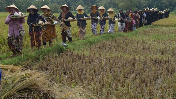 Sejumlah warga membawa nasi tumpeng saat Kirab Tradisi Merti Desa Godean di Godean, Pelem, Simo, Boyolali, Jawa Tengah, Minggu (5/3/2023).