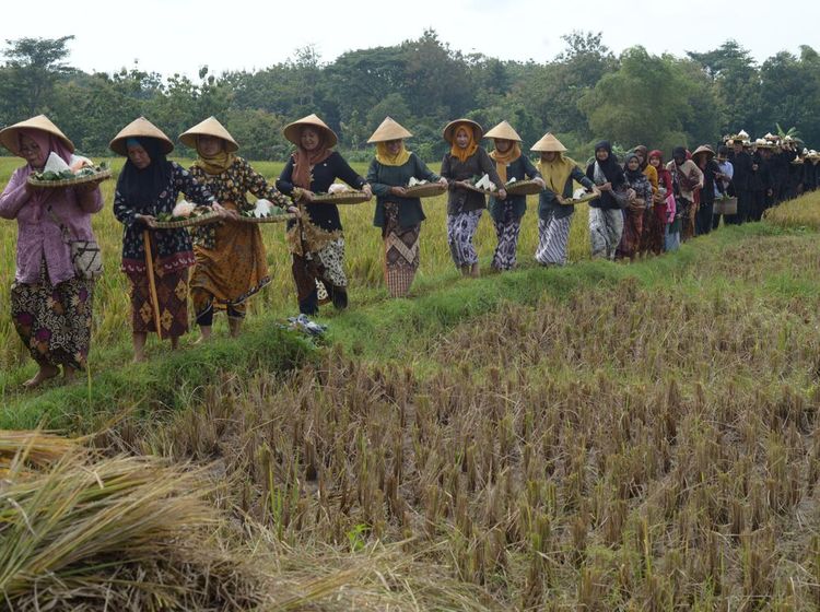 Melihat Tradisi Kirab Merti Desa Godean di Boyolali
