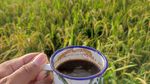 Sore Sederhana, Nongkrong di Pinggir Jalan Bersama Kopi Kaki Lima