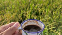 Segelas kopi hitam kaki lima di pinggir sawah ini dihargai Rp 5.000.