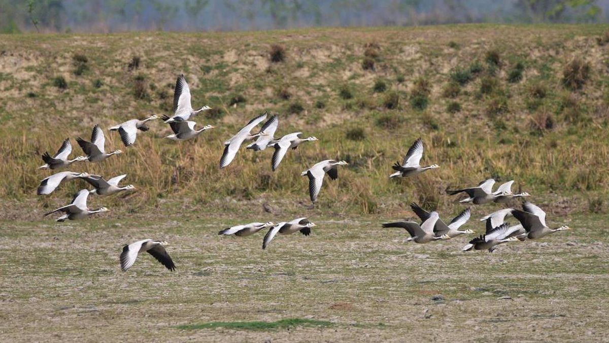 Ular xotinimning yuziga bostirib kelishdi Tojikistonda jinsiy aloqa porno videolarini onlayn tomosha qiling