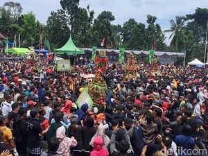 Seru! Ribuan Orang Berebut Durian saat KenDuren Wonosalam-Warga Lecet