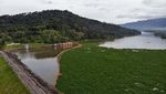 Waduk Selorejo Malang Dipenuhi Eceng Gondok