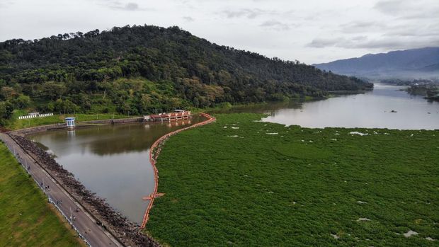 WADUK SELOREJO DIPENUHI ENCENG GONDOK Foto udara kondisi Waduk Selorejo, Ngantang, Malang, Jawa Timur, Minggu (5/3/2023). Waduk yang memiliki luas 650 Hektar dan berfungsi sebagai irigasi pertanian, perikanan, dan pariwisata itu saat ini dipenuhi enjeng gondok yang dikhawatirkan akan menyebabkan pendangkalan. ANTARA FOTO/Muhammad Mada/Zk/YU