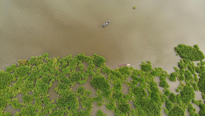 Foto udara kondisi Waduk Selorejo, Ngantang, Malang, Jawa Timur, Minggu (5/3/2023). Waduk yang memiliki luas 650 Hektar dan berfungsi sebagai irigasi pertanian, perikanan, dan pariwisata itu saat ini dipenuhi enjeng gondok yang dikhawatirkan akan menyebabkan pendangkalan. ANTARA FOTO/Muhammad Mada/Zk/YU