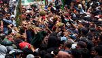 Wow! Ada Tradisi Berebut Durian di Jombang