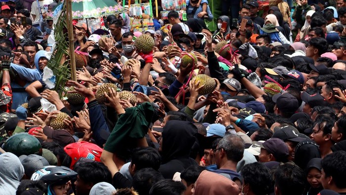 Warga berebut gunungan dari buah durian saat pesta Kenduren di lapangan Wonosalam, Kabupaten Jombang, Jawa Timur, Minggu (5/3/2023). Tradisi tahunan pesta durian atau Kenduren Wonosalam tersebut setelah sempat dihentikan karena pandemi COVID-19 tahun ini kembali digelar dengan total 2023 biji durian yaitu merupakan bentuk rasa syukur para petani di lereng Gunung Anjasmoro atas limpahan panen buah durian. ANTARA FOTO/Syaiful Arif/