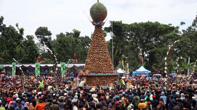 Wow! Ada Tradisi Berebut Durian di Jombang