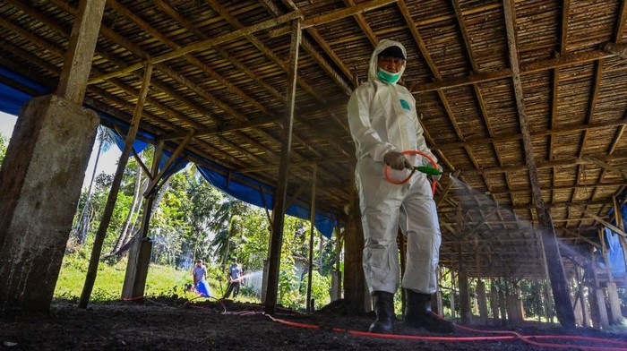 A government worker disinfects a poultry farm against the spread of bird flu in Darul Imarah in Indonesias Aceh province on March 2, 2023. (Photo by CHAIDEER MAHYUDDIN / AFP) (Photo by CHAIDEER MAHYUDDIN/AFP via Getty Images)