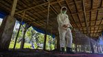 Pemeriksaan Unggas Untuk Cegah Flu Burung di Aceh