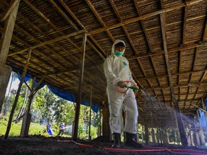Misteri Kematian Pertama pada Manusia Akibat H5N2, Tertular dari Makanan?